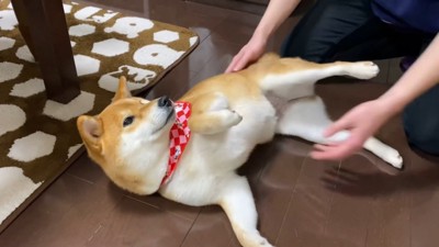 再びキックして、抱っこを拒否！