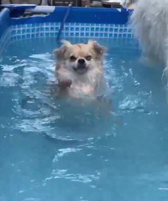 「沈んじゃう！」
