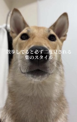 絶対に二度見されちゃう