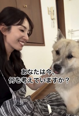 人の隣で穏やかに座る犬