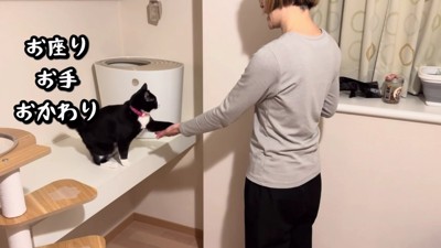 コマンドも得意!!
