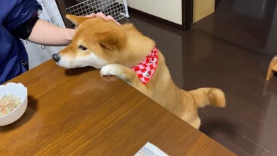 食事中の様子