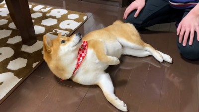 冷たい目でガン見