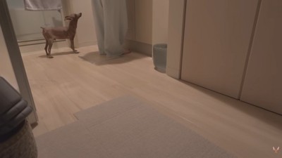 移動したらついて来てくれます