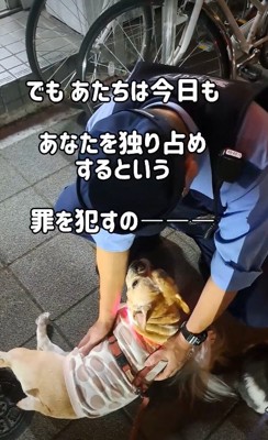 相思相愛な2人にホッコリ