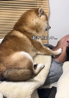 目覚まし役も担当
