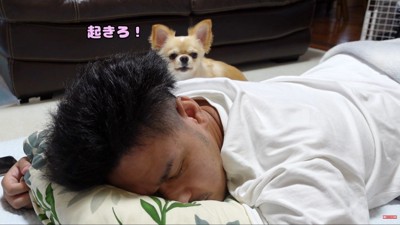 「いい加減起きろっ」