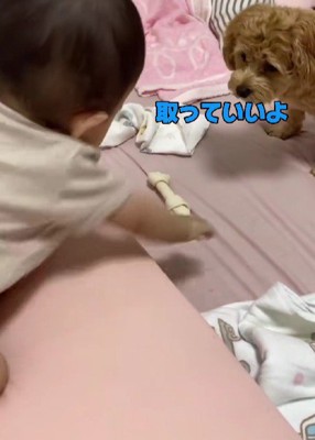 「どうぞ」