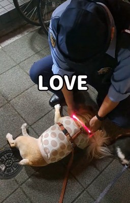 「まだ離れたくない♡」