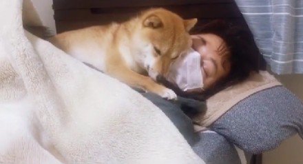「くっついてると冷えないよ」