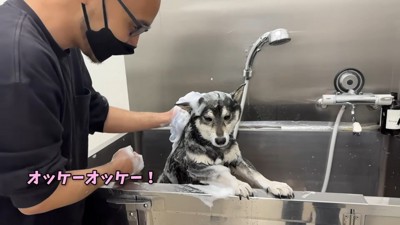 頑張って耐えています！