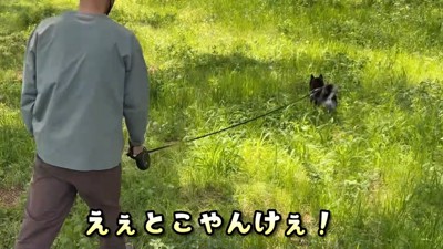 その後は公園でピクニック