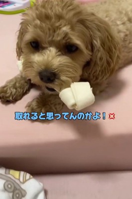 「これは私の！！」