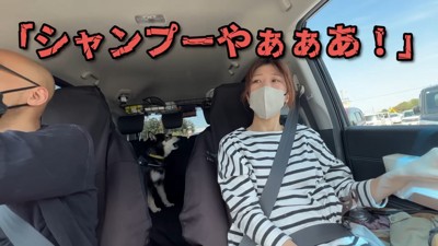 「シャンプーする気だ！いやァ～！！」