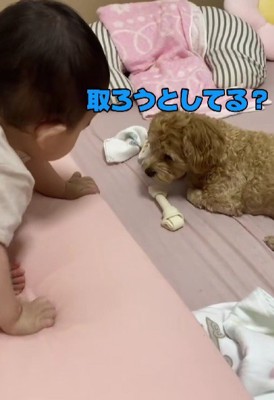 赤ちゃんがやってくると…