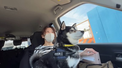 「あれ？なんか変だな…」