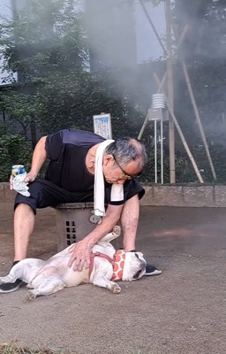 公園で恋に落ちたことも