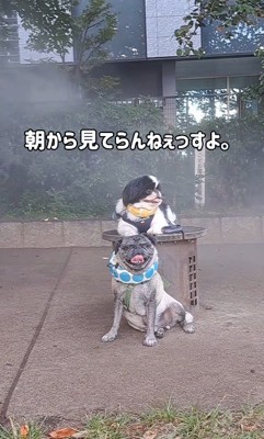 「また始まった…」