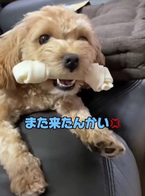 「ダメ！」