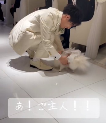 抱っこされる犬