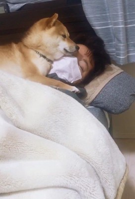 こたろうちゃんが寄り添う