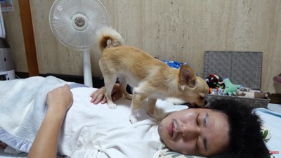 「起きて~!」とお顔をペロペロ