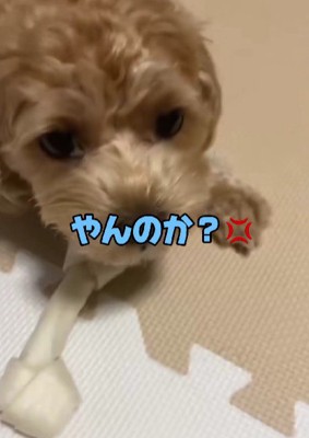 絶対に誰にも渡さない