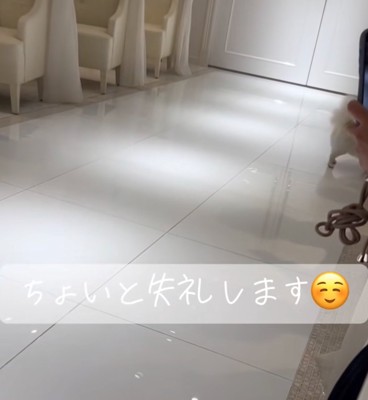 参列席に近づく犬