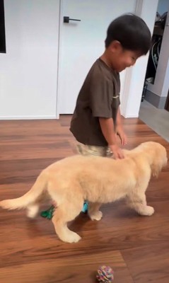 初めての子犬に興味津々♪