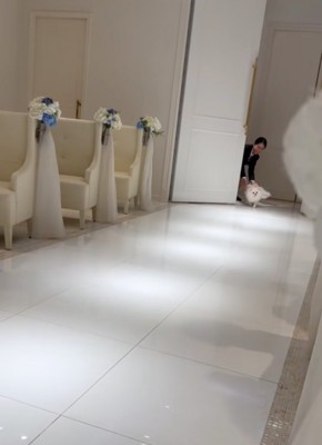 扉から入ってくる犬