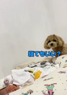 「隣で寝てもいい？」