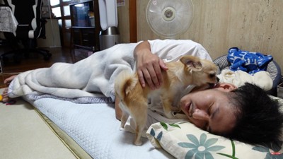 三度寝したら、ペロペロ攻撃再開