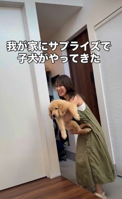 子犬との出会い