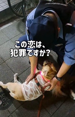 恋をした相手は…