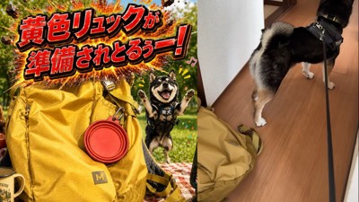 リュックを用意していたら…