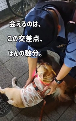 交番の警察官♡