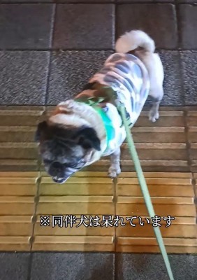 「まだ終わらないの？」