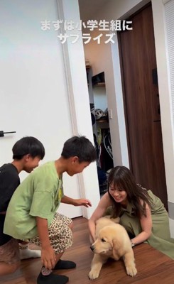 大慌てで駆け寄り…