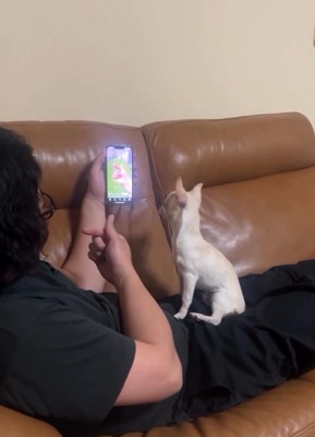 スマホ画面を見る鱈ちゃん1