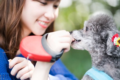 おやつを女性からもらう犬