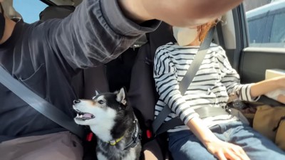 「騙された！ひどい！」