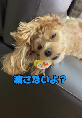「これは私の！！」