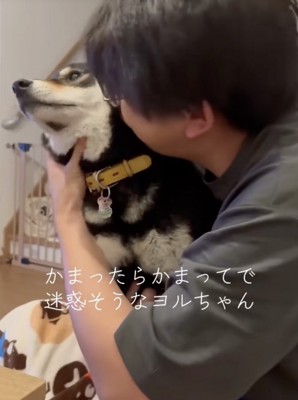 構ってもらえて…迷惑そう?