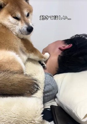 「まだ起きない…」