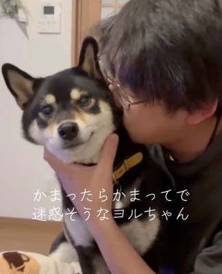 パパのことは大好きなんです