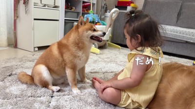 気持ちを表現するほのちゃん