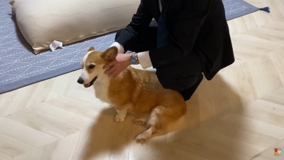 幸せ溢れる光景にほっこり♡