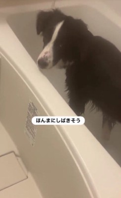 必死に諭すも…