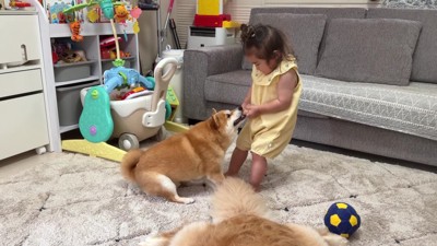 手加減していたものの…