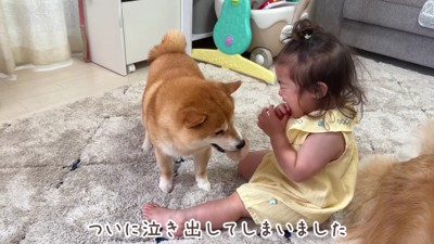 ついに泣かせちゃった！！